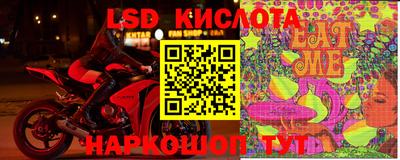 прущие грибы Новодвинск
