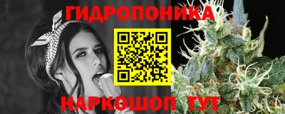 прущие грибы Новодвинск
