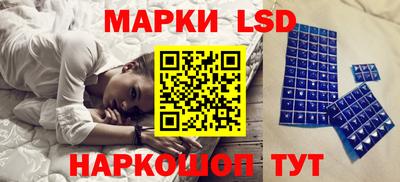 прущие грибы Новодвинск