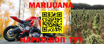 прущие грибы Новодвинск