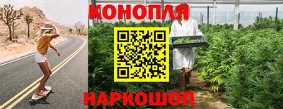 прущие грибы Новодвинск