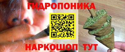 бошки Новокубанск