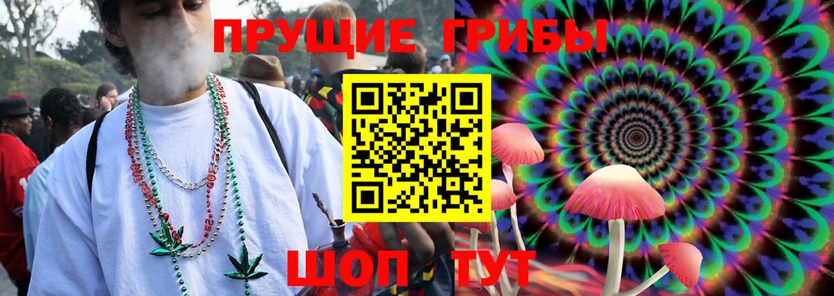 Тавда  Псилоцибиновые грибы мицелий  Вход с VPN 