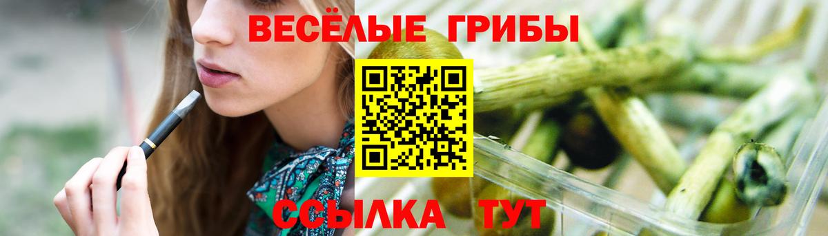 Галлюциногенные грибы Psilocybe Тавда